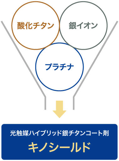 キノシールドの抗ウイルス・抗菌力その驚きの効果とは？